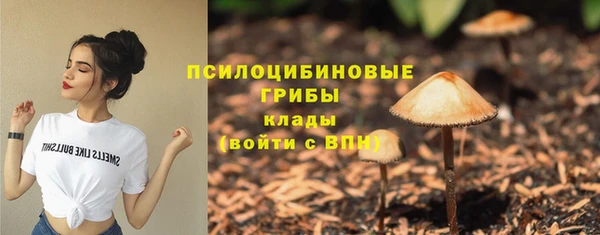 соль курить ск Арсеньев