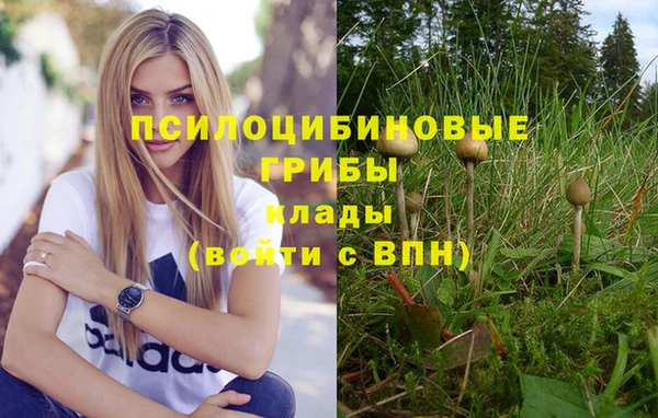 соль курить ск Арсеньев
