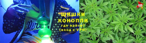 крисы Армянск
