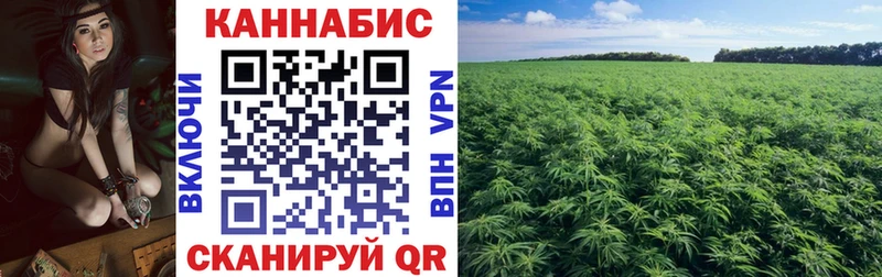 Бошки марихуана Bruce Banner  даркнет сайт  Новокубанск 